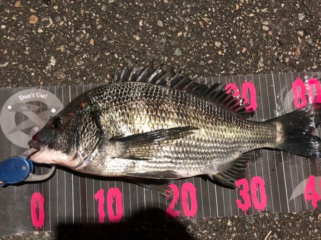 釣り中の車上荒らしに注意 富山 釣り ブログ 釣れない家族の成長日誌